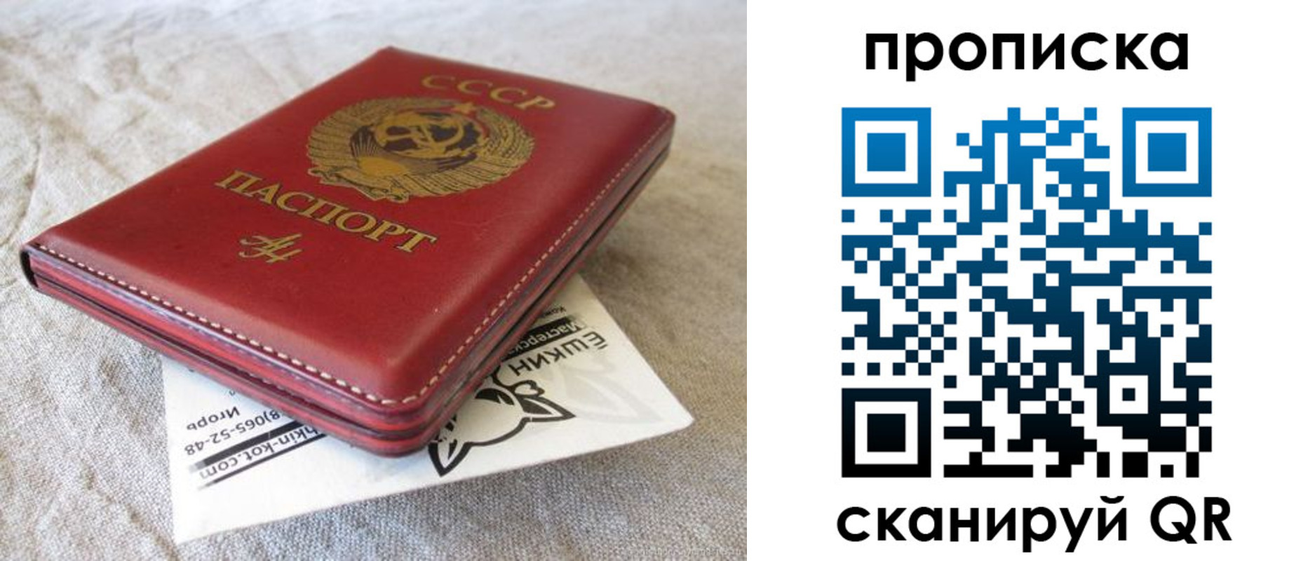 прописка для школы в Сахалинской области